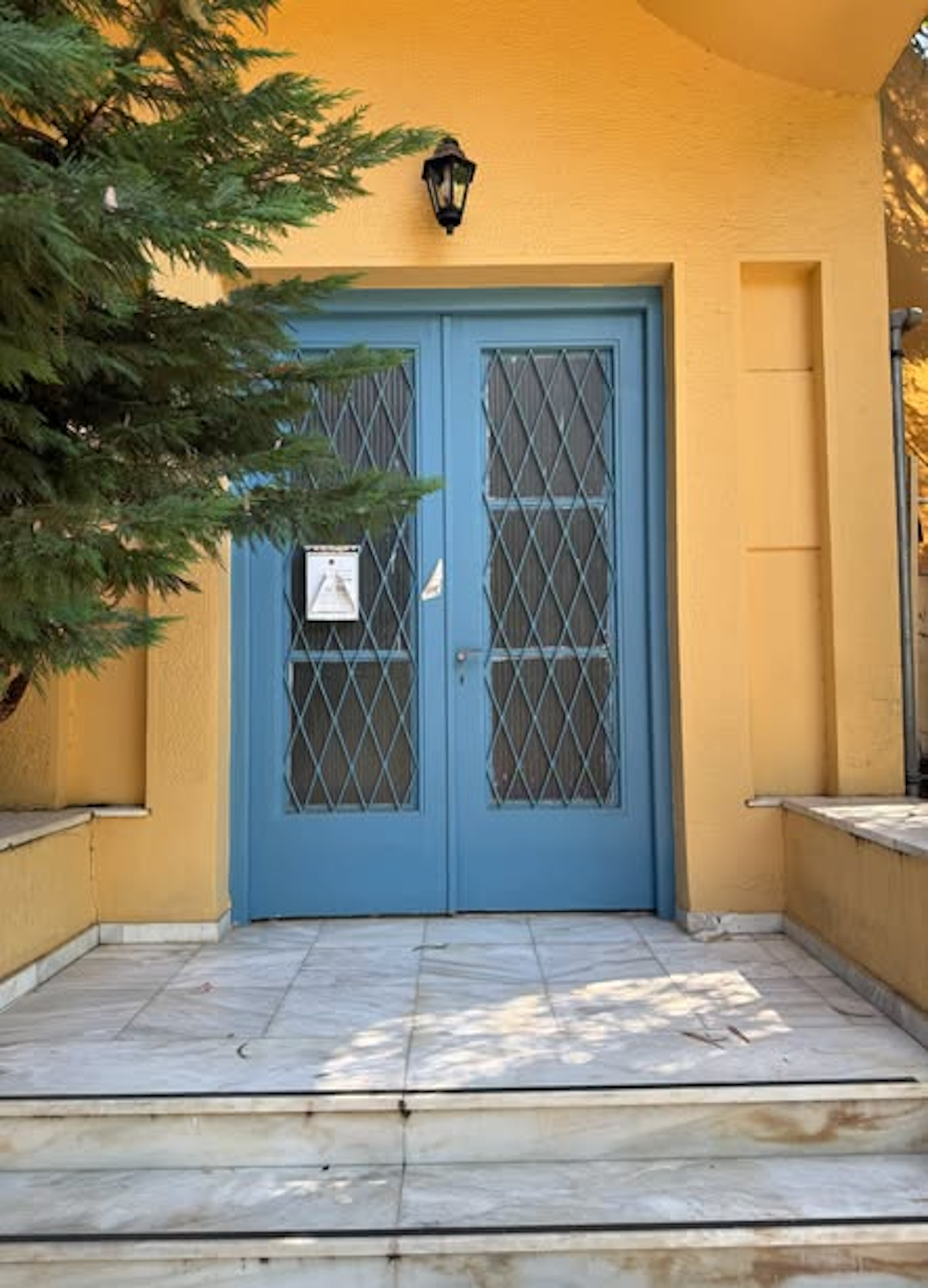 ΣΥΝΑΝΤΗΣΗ ΚΑΤΟΙΚΩΝ ΦΙΛΟΘΕΗΣ ΓΙΑ ΤΑ ΙΣΤΟΡΙΚΑ ΚΤΗΡΙΑ