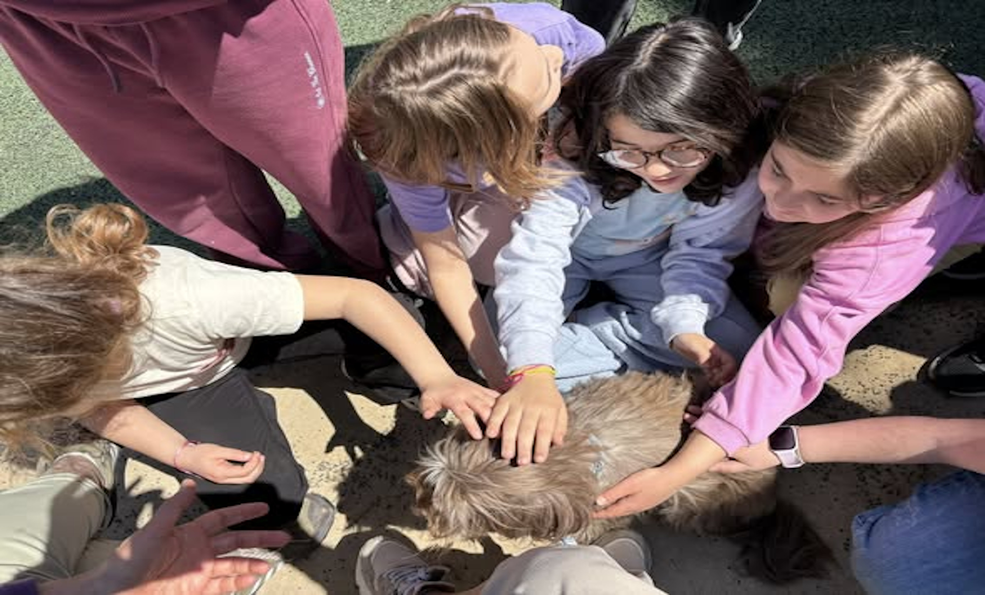 ΦΙΛΟΘΕΗ-ΨΥΧΙΚΟ- Η ΠΟΛΗ ΜΑΣ