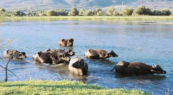 6-11 - Η ΦΘΙΝΟΠΩΡΙΝΗ ΜΑΣ ΕΚΔΡΟΜΗ