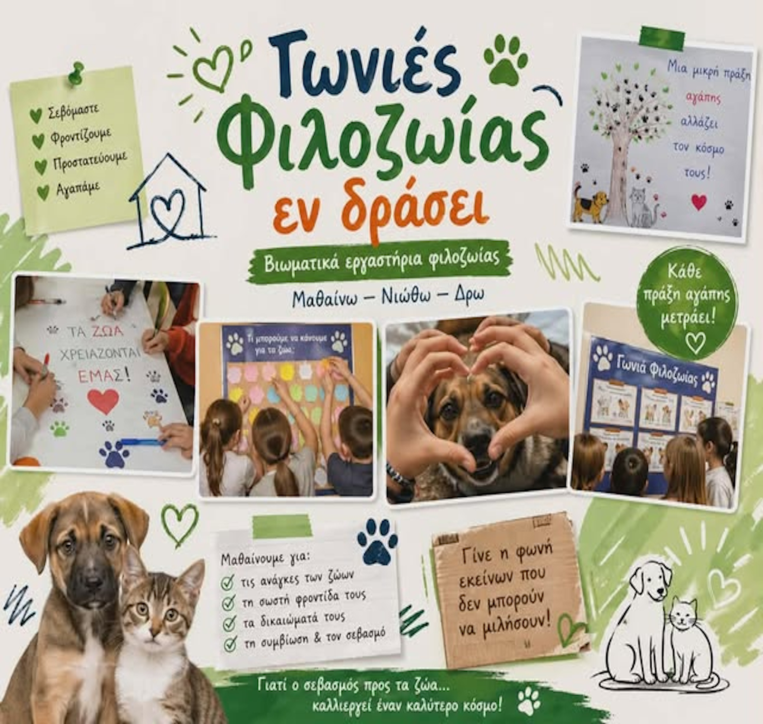 ΓΩΝΙΕΣ ΦΙΛΟΖΩΙΑΣ ΕΝ ΔΡΑΣΕΙ