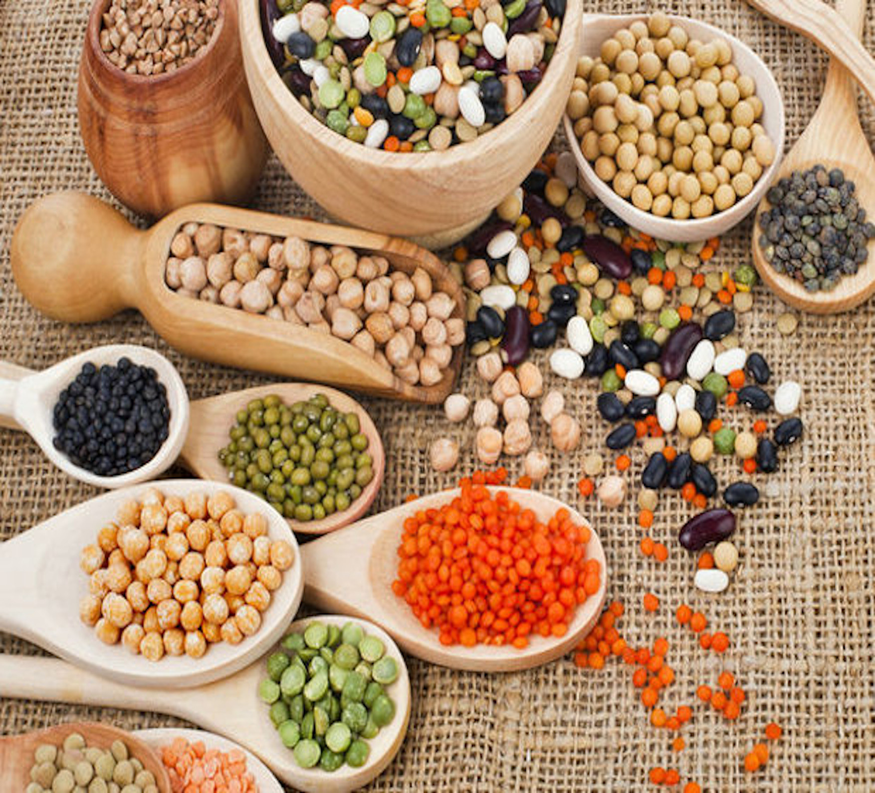 10 ΦΕΒΡΟΥΑΡΙΟΥ ΠΑΓΚΟΣΜΙΑ ΗΜΕΡΑ ΟΣΠΡΙΩΝ