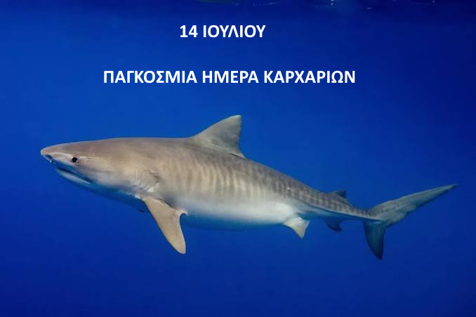 14 ΙΟΥΛΙΟΥ - ΠΑΓΚΟΣΜΙΑ  ΗΜΕΡΑ ΚΑΡΧΑΡΙΩΝ