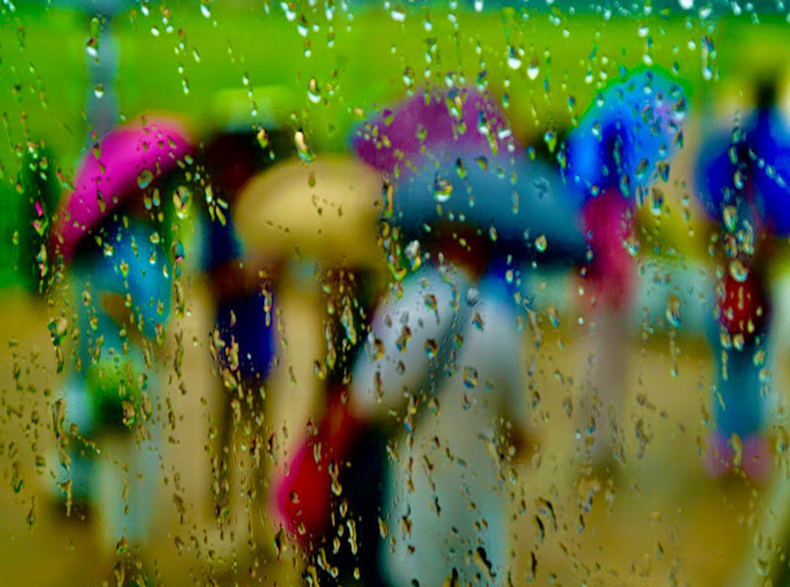 1 ΝΟΕΜΒΡΙΟΥ  ΣΤΟΝ ΜΕΛΑΝΥΘΡΟ