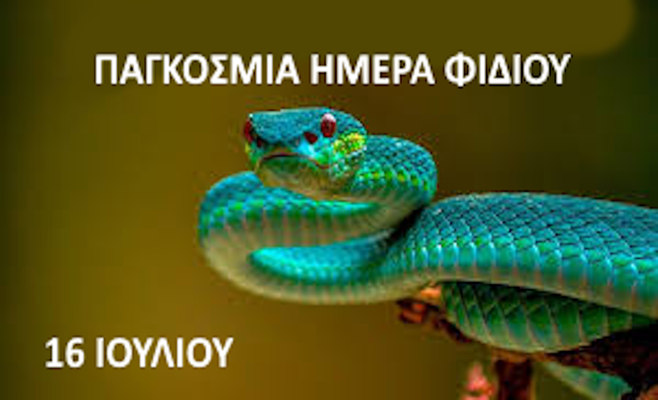 16 ΙΟΥΛΙΟΥ-ΠΑΓΚΟΣΜΙΑ ΗΜΕΡΑ