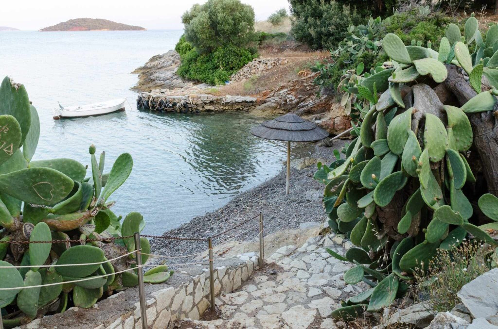 5 ΙΟΥΛΙΟΥ ΕΚΔΡΟΜΗ