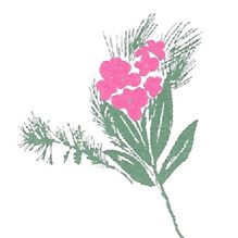 ΣΥΛΛΟΓΟΣ ΠΡΟΣΤΑΣΙΑΣ ΠΕΡΙΒΑΛΛΟΝΤΟΣ ΦΙΛΟΘΕΗΣ